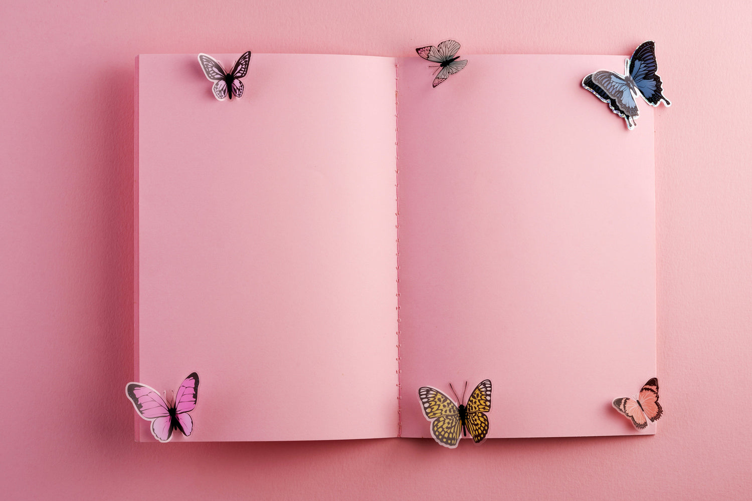 PINK JOURNAL NOTEBOOK COLLECTION | JOURNAL VENUE