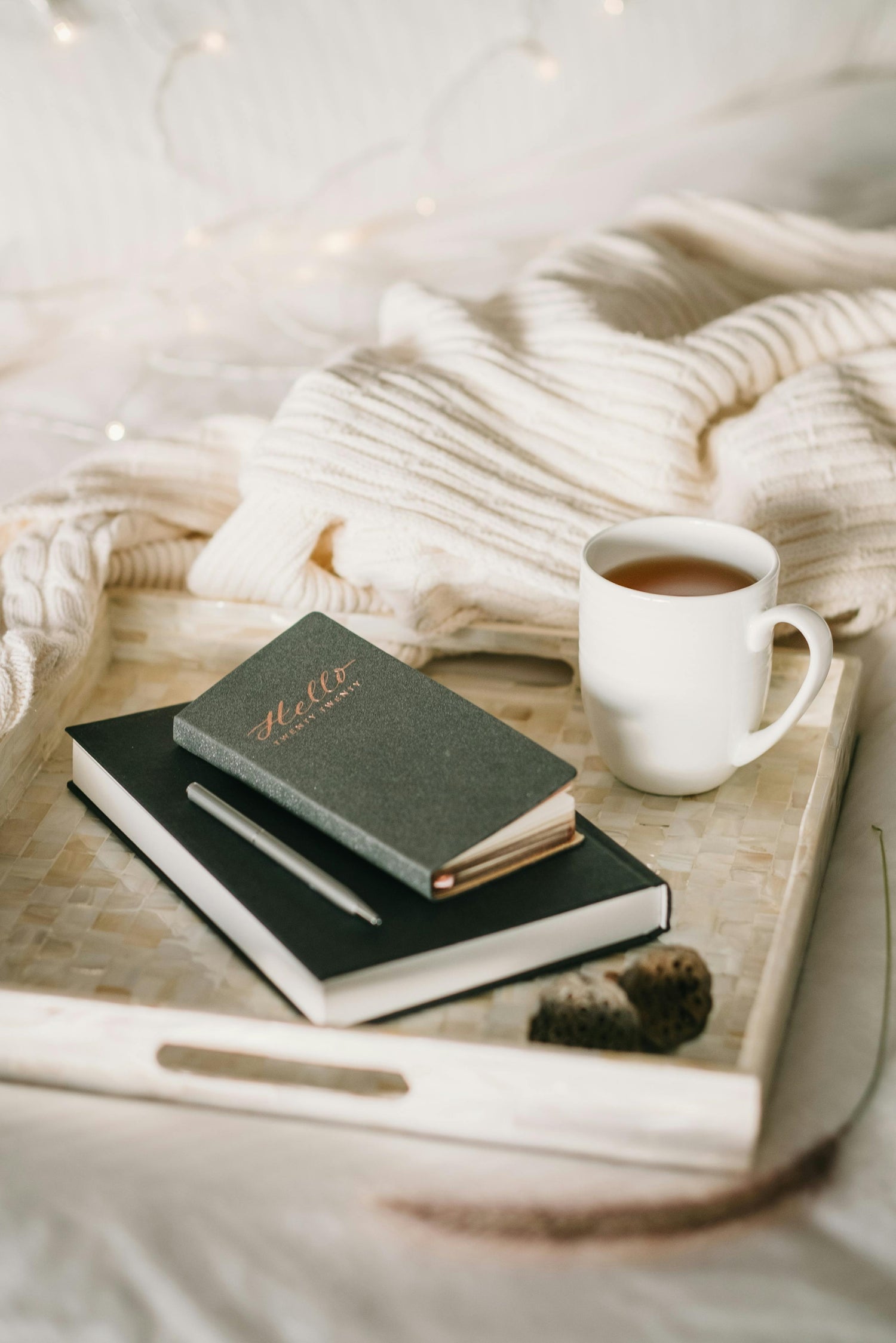 TRAVEL BOOK JOURNALS - Luxury Travel Companions