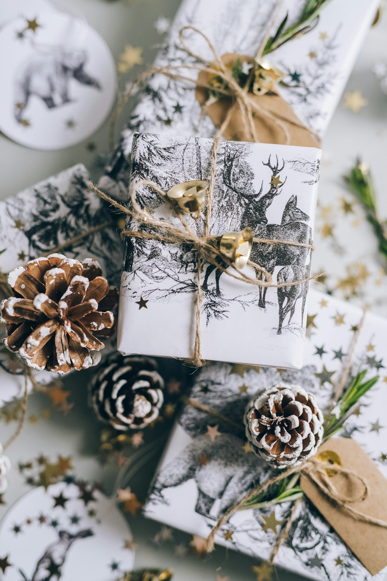 Gifts for Women Who Read - Literary Gifts - Journal Venue