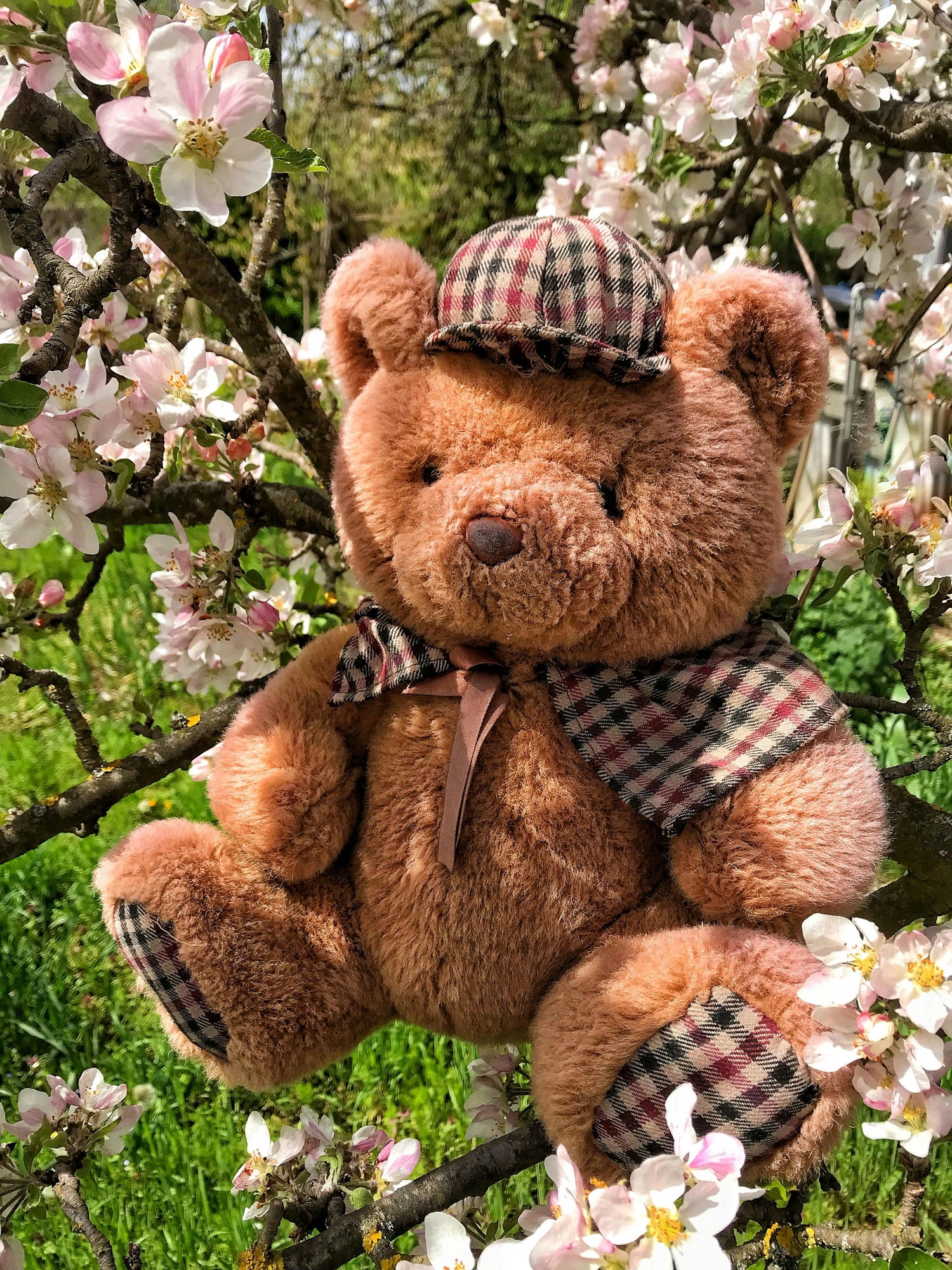 TEDDY BEARS COLLECTION - Unique Gifts for Book Lovers